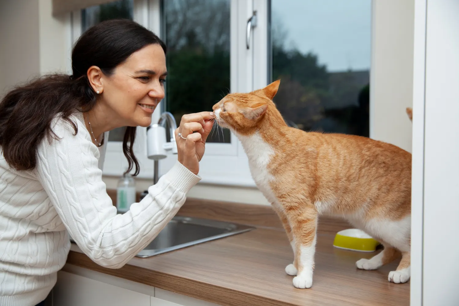 Human‑Grade Pet Food and Smart Feeders: Preserving Freshness with Technology