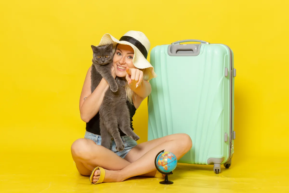 Travel with Cats: Smart Feeders, Backup Power & Remote Monitoring (Road Trips & Flights)